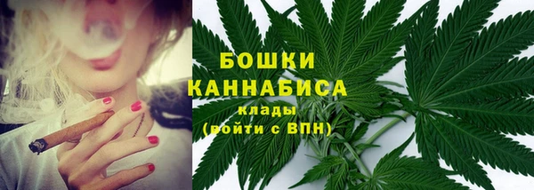 шишки Протвино
