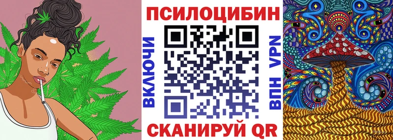 где купить   Сычёвка  Псилоцибиновые грибы Magic Shrooms 